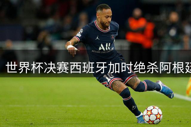 世界杯决赛西班牙加时绝杀阿根廷 新星闪耀老将梦碎