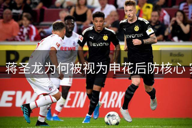 蒋圣龙为何被视为申花后防核心 实力不逊朱辰杰