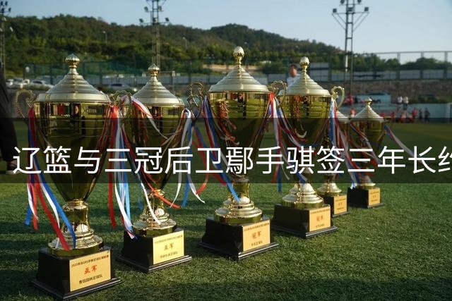辽篮与三冠后卫鄢手骐签三年长约 上赛季本土三分王留守